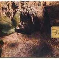 Telefon.karta/ČR/ č.99