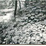 Telefon.karta/ČR/ č.118