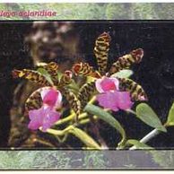 Telefon.karta/ČR/ č.126