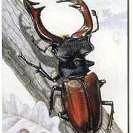 Telefon.karta/ČR/ č.133