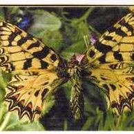 Telefon.karta/ČR/ č.143