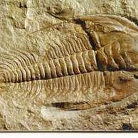 Telefon.karta/ČR/ č.150