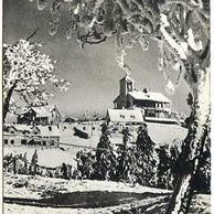 E 55388 - Krušné hory