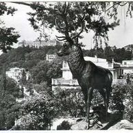 E 55413 - Karlovy Vary 6