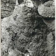 D 55430 - Zbrašovské kráp.jeskyně u Hranic 