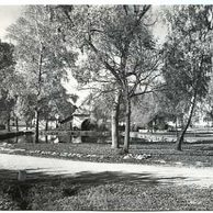 E 55517 - Novosedly nad Nežárkou