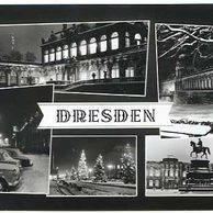 Dresden - 55540