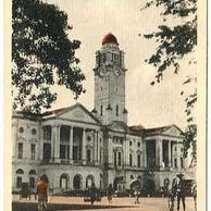 Ostatní cizina - 55612