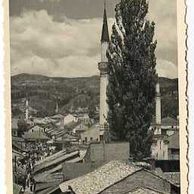 Ostatní cizina - 55632