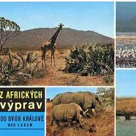 F 155696 - Dvůr Králové nad Labem