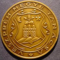 12244 - městská medaile