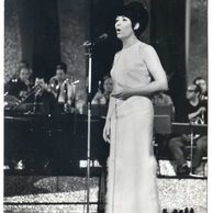 E 55981 - Laila Kinnunen 