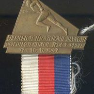 12359 - Předsletové tělovýchovné slavnosti