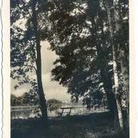 D 56313 - Poděbrady