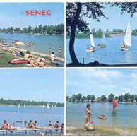 Senec - 57100