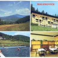 F 57128 - Malenovice 