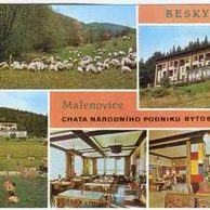 F 57241 - Malenovice 