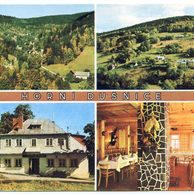 F 57983 - Horní Dušnice