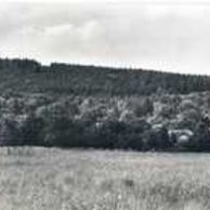 E 156692 - Veselíčko