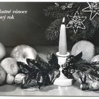 E 58081 - Radostné Vánoce a Nový rok