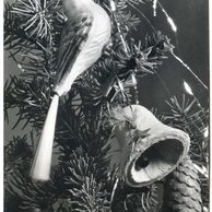 E 58082 - Veselé Vánoce