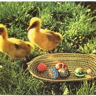 F 58095 - Velikonoce 