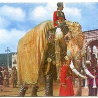 Ostatní cizina - 58134