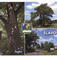 F 58813 - Slavošov
