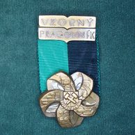 12953- Důl.1.Máj- Vzorný pracovník (Z.Kolářský)