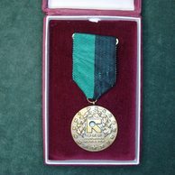 12950- OKD Ostrava Koncern- Vzorný pracovník s etuí, žlutý kov