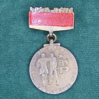 12975- BSP- Člen brigády soc.práce bronzový v etui