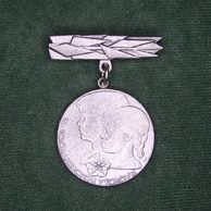 12833-SSM za soc.výchovu