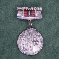12990- BSP- Člen brigády soc. Práce stříbrný