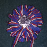 13228- Armáda ČR odznak velký