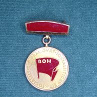 13161- ROH Průkopník soc.práce