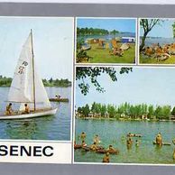 Senec - 45091