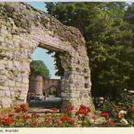 Ostatní cizina - 45219