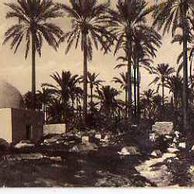 Ostatní cizina - 45268