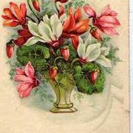 C 45306 - Srdečné blahopřání