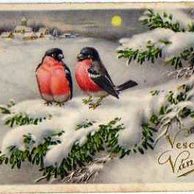 C 45315 - Veselé Vánoce