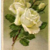 C 45312 - Srdečné blahopřání k jmeninám