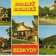 F 45364 - Dolní Lomná