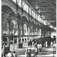 E 45707 - Mariánské Lázně5 