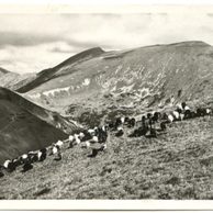 Nízké Tatry - 45956