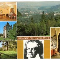 F 46116 - Hradec nad Moravicí 