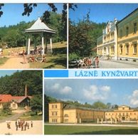F 46132 - Lázně Kynžvart