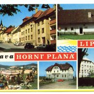 F 46234 - Horní Planá