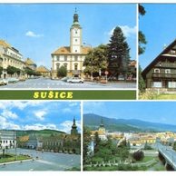 F 46456 - Sušice