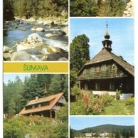 F 46486 - Šumava