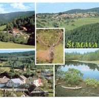 F 46488 - Šumava